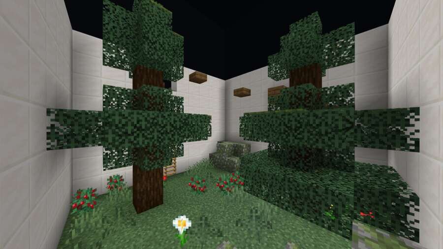 Два больших дерева