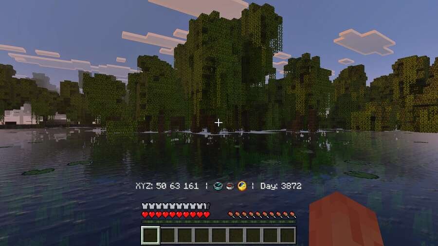 Координаты и счетчик дней