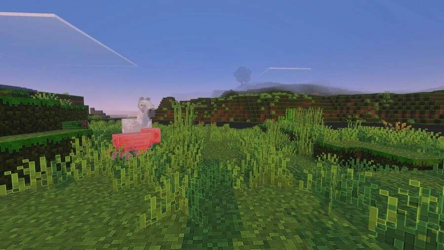 Свинья и Лошадь на равнине