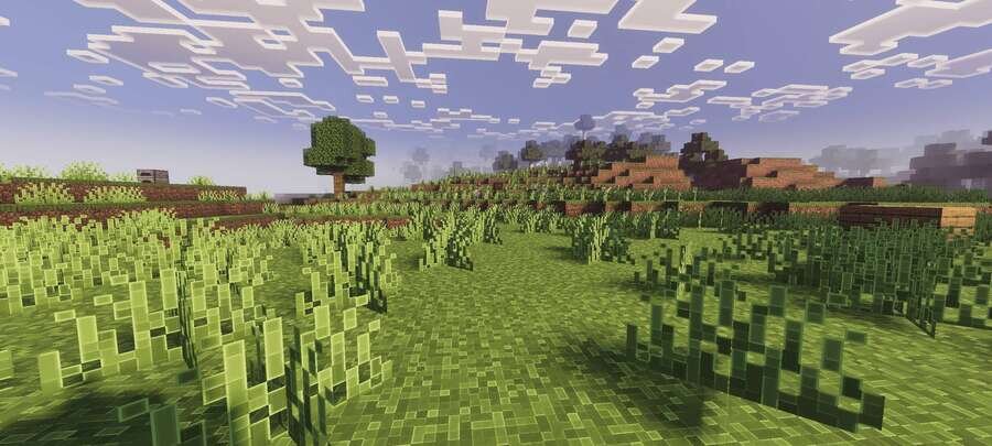 Необычный вид травы