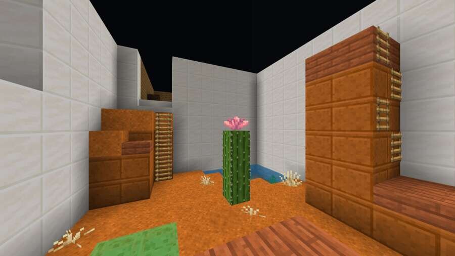 Кактус посередине комнаты