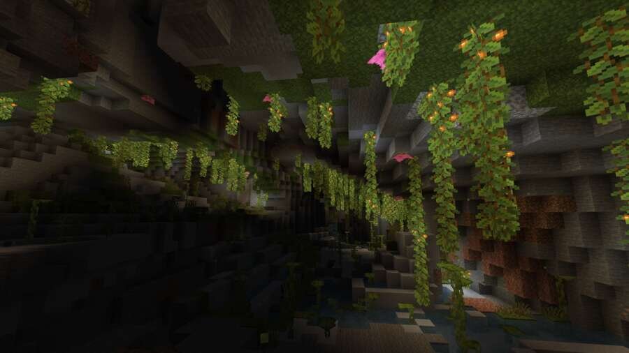 Вид из пещер внутри 2