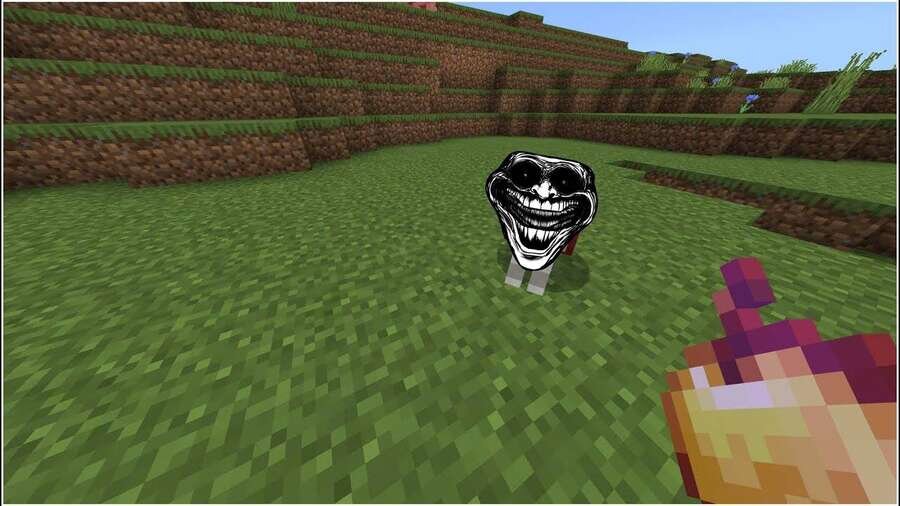 Собака с жутким лицом