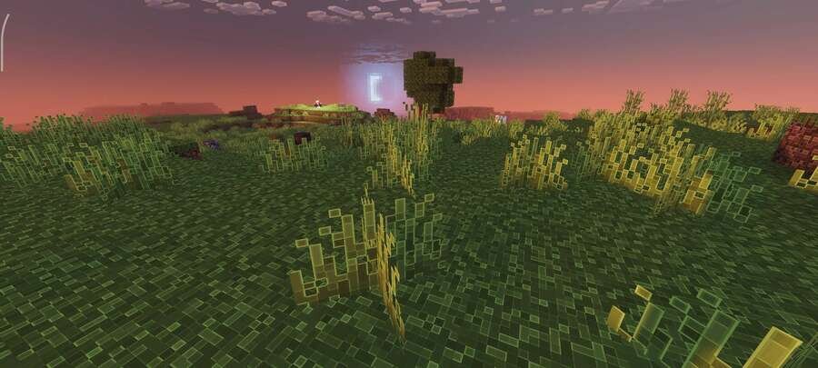 Равнина на закате