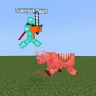 Бот сражается со Свиньей