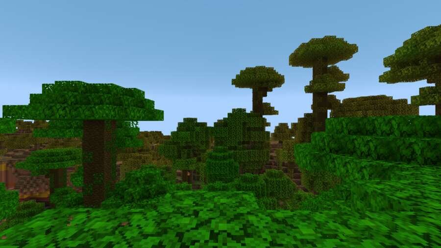 Лесной биом в игре на пересечении биомов 2