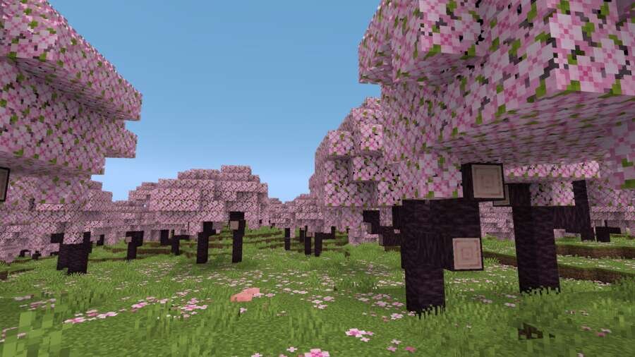 Игрок гуляет по вишневому биому