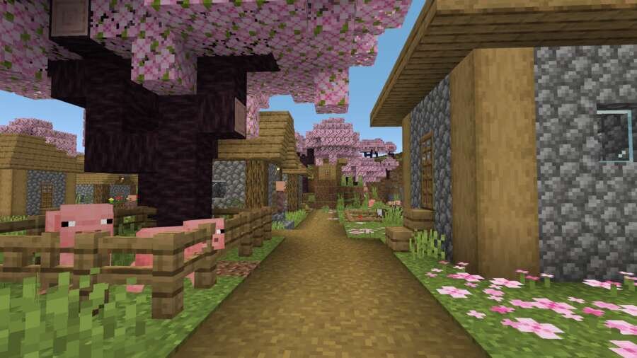 Игрок ходит рядом с домиком в деревне