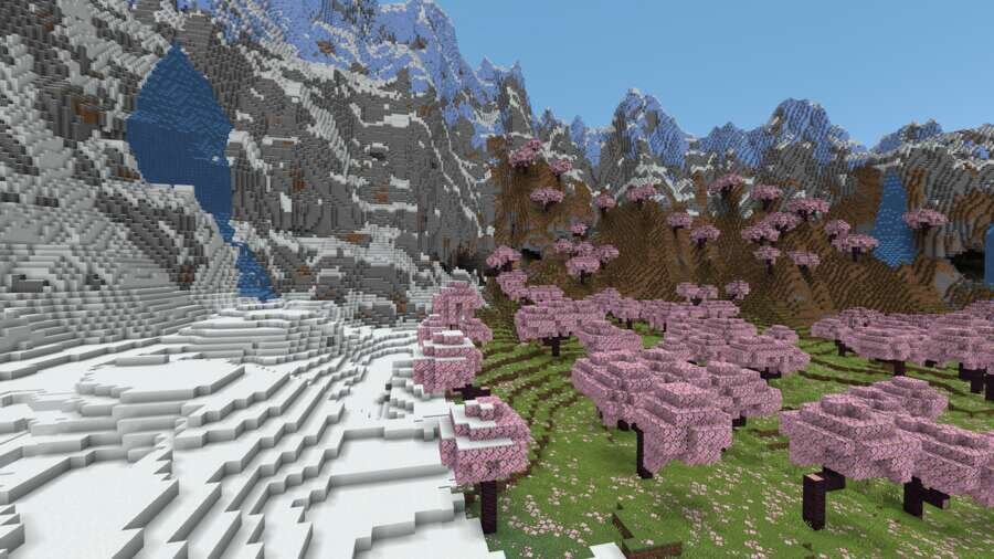 Вид на биом сакуры сверху