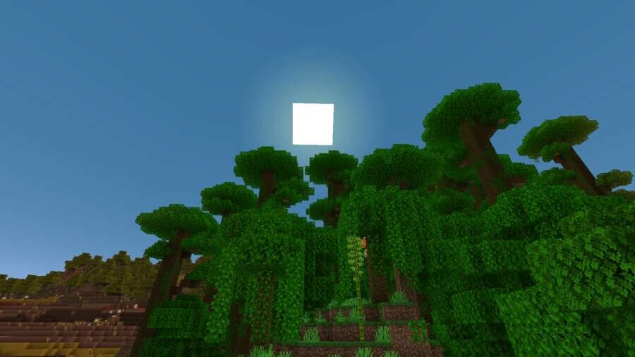 Лесной биом в игре на пересечении биомов