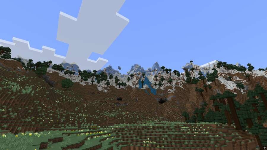 Как выглядят высокие горы с сосновым лесом