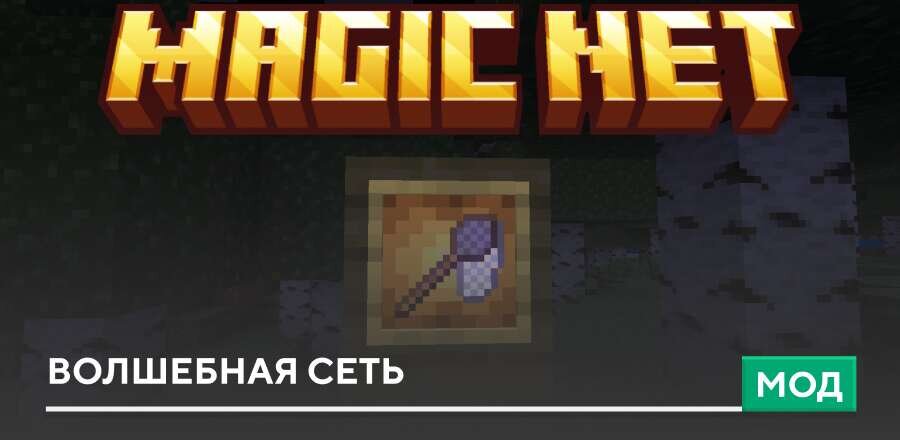 Мод: Волшебная сеть