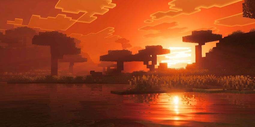 Закат в Саванне