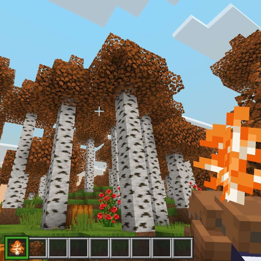 Оранжевый саженец в руке персонажа