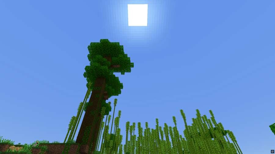 Высокое дерево посреди джунглей 2