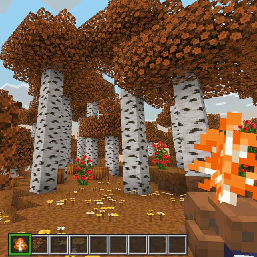 Оранжевый биом в игре