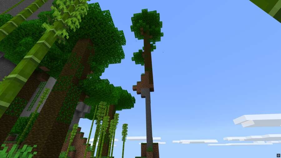 Высокое дерево посреди джунглей