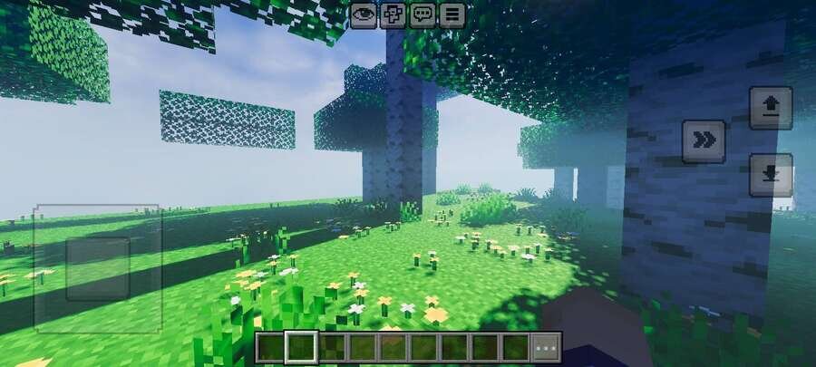 Яркие тени под деревьями