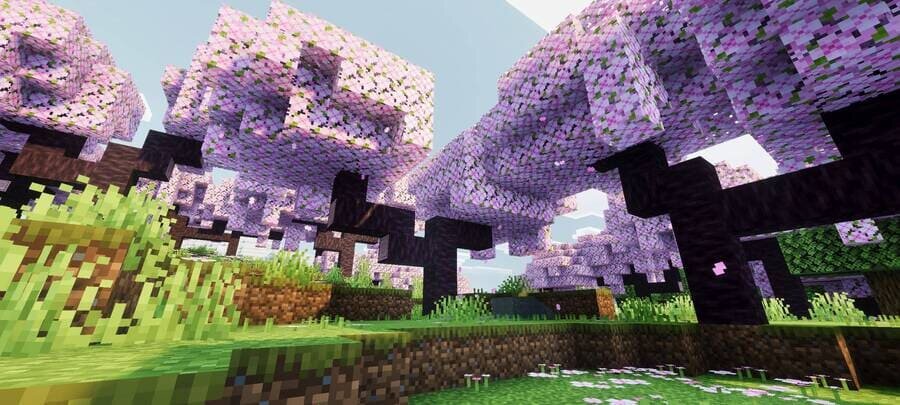 Вишневый биом