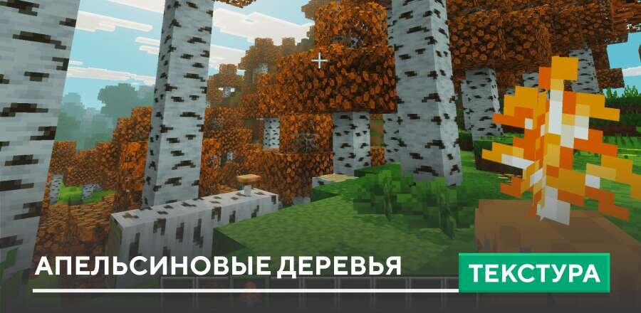 Текстуры: Апельсиновые деревья