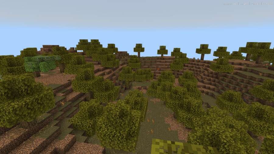 Вид на большой лес-болото над пещерой