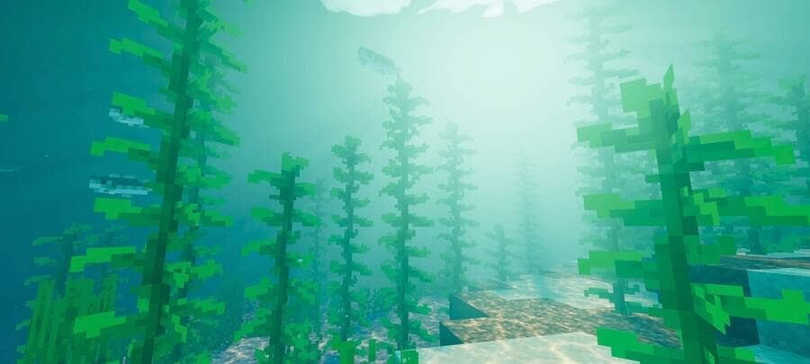 Растения под водой