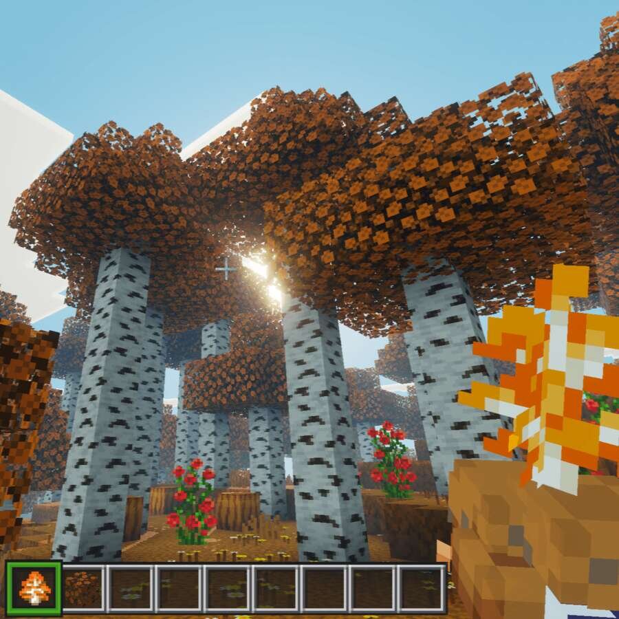 Оранжевый березовый лес