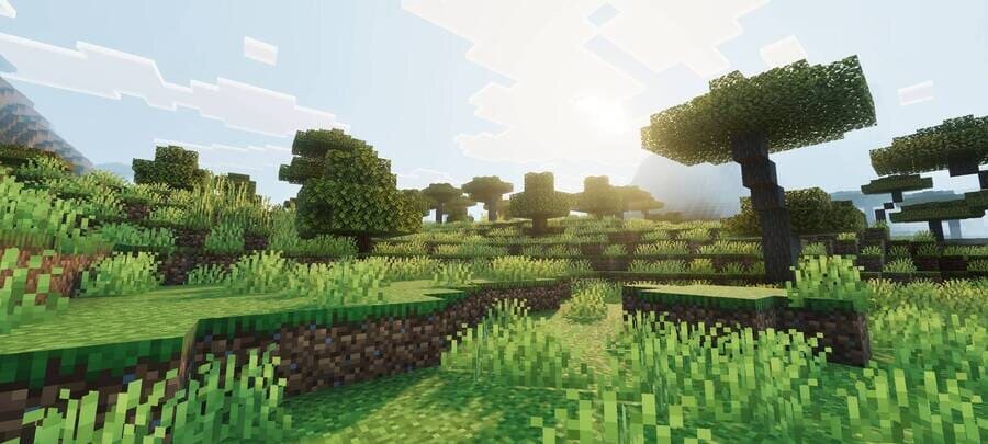 Полдень в саванне