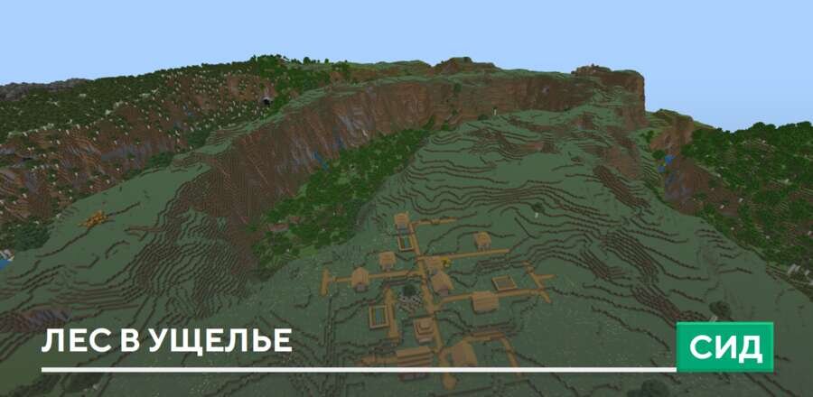 Сид: Лес в ущелье