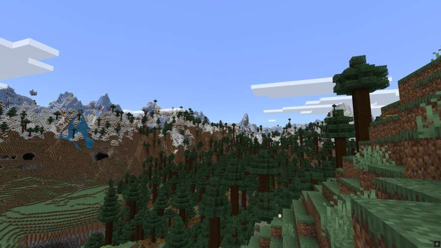 Густой сосновый лес на фоне высоких гор