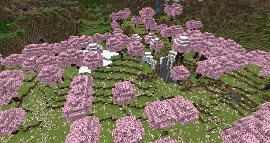 Как выглядит биом сакуры сверху