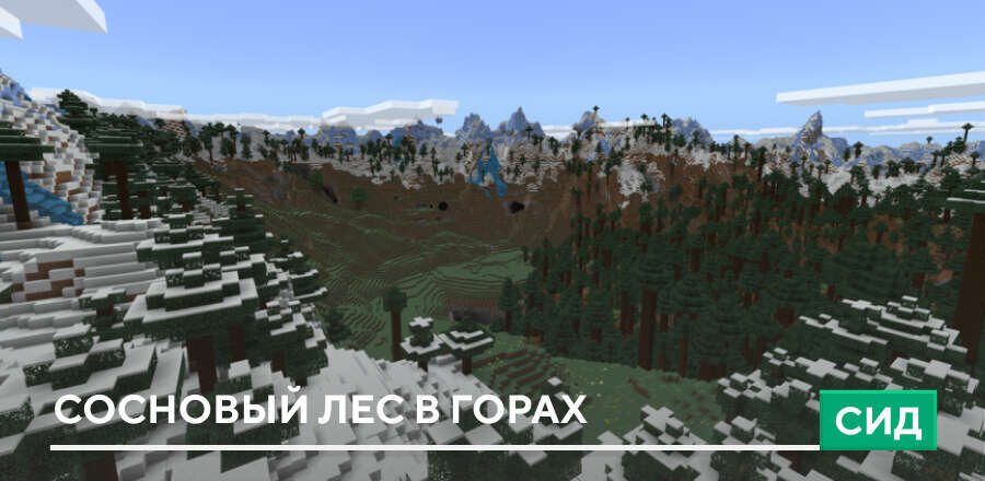 Сид: Сосновый лес в горах