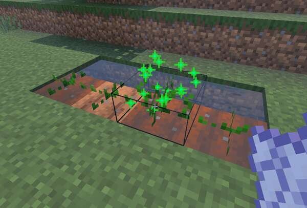 Выращивание растений