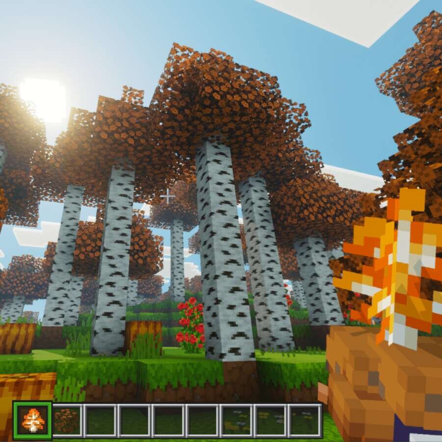 Оранжевая листва берез