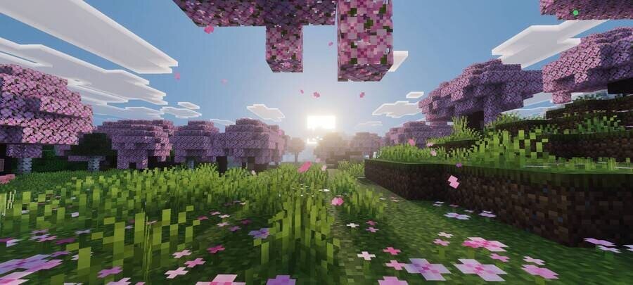 Солнце в Вишневой роще