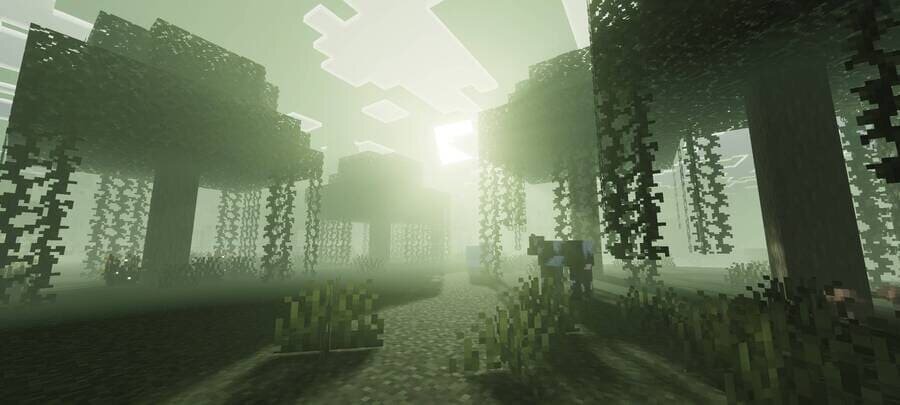 Яркий свет в болоте