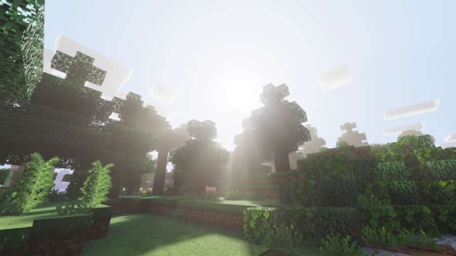 Яркий полдень