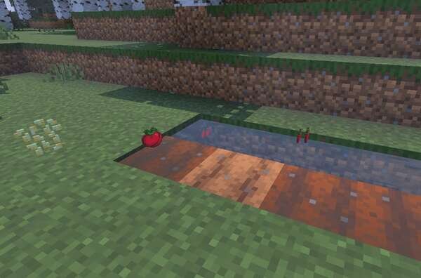 Ягоды на земле