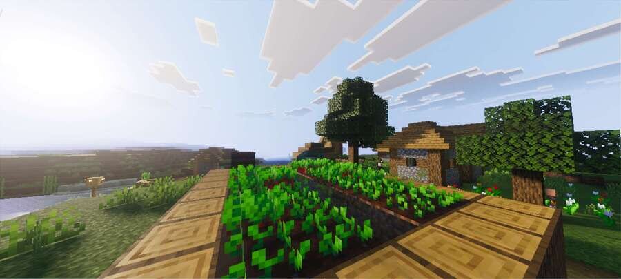 Огород в деревне