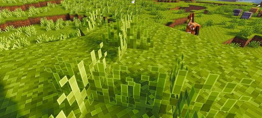 Трава на равнине