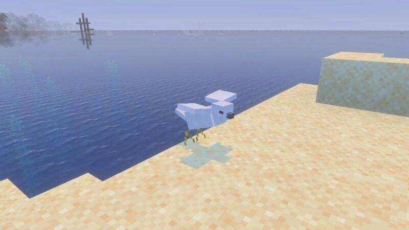 Чайка на берегу