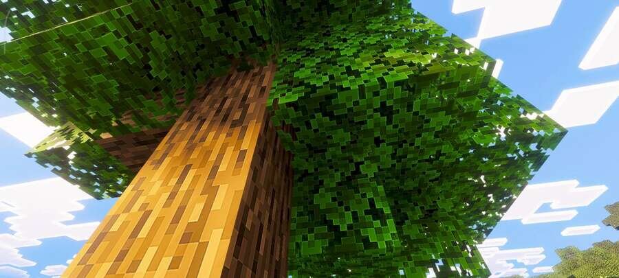 Небольшое дерево