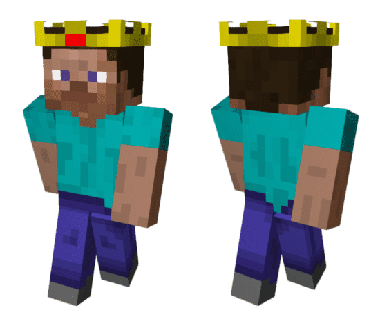 Скин Стива Короля