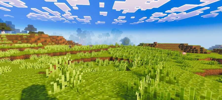 Яркая, зеленая равнина