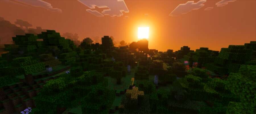 Яркий свет Солнца вечером