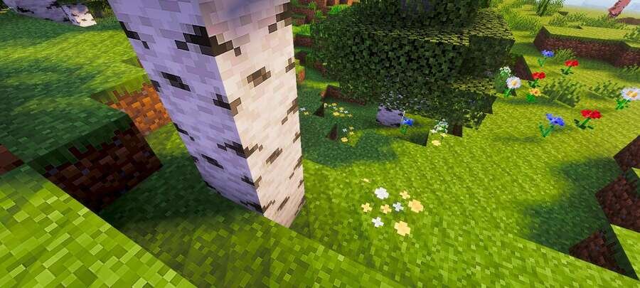 Одинокая береза