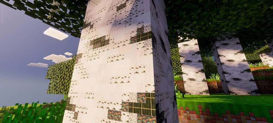 Текстуры Березы