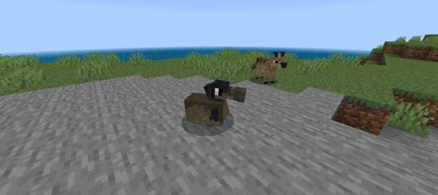 Додо и Гиена