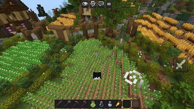 Засаженный огород в деревне