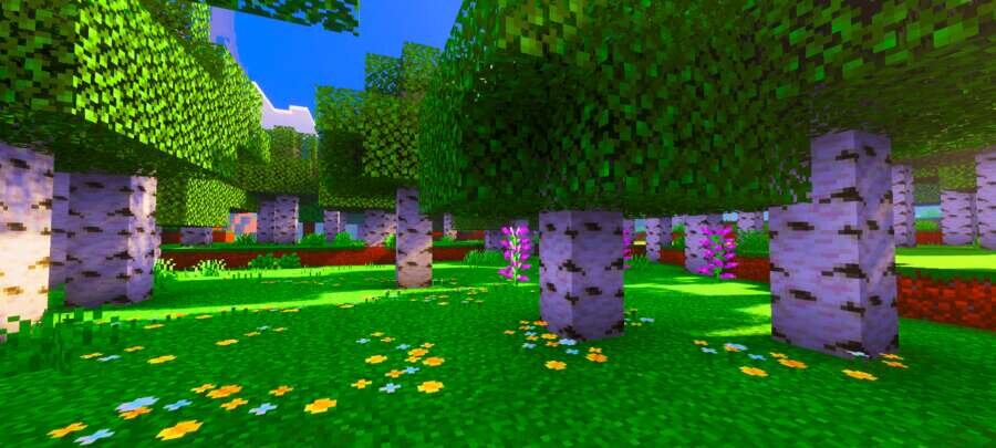 Яркие цвета окружения в лесу